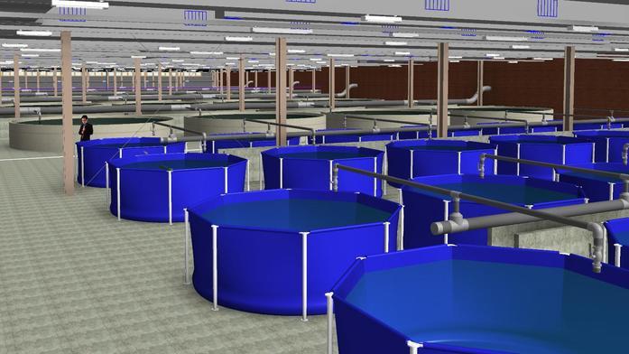 Бизнесмен отказался реализовать рыбный проект в Челябинске из-за экологии
1 Бизнесмен отказался реализовать рыбный проект в Челябинске из-за экологии
1