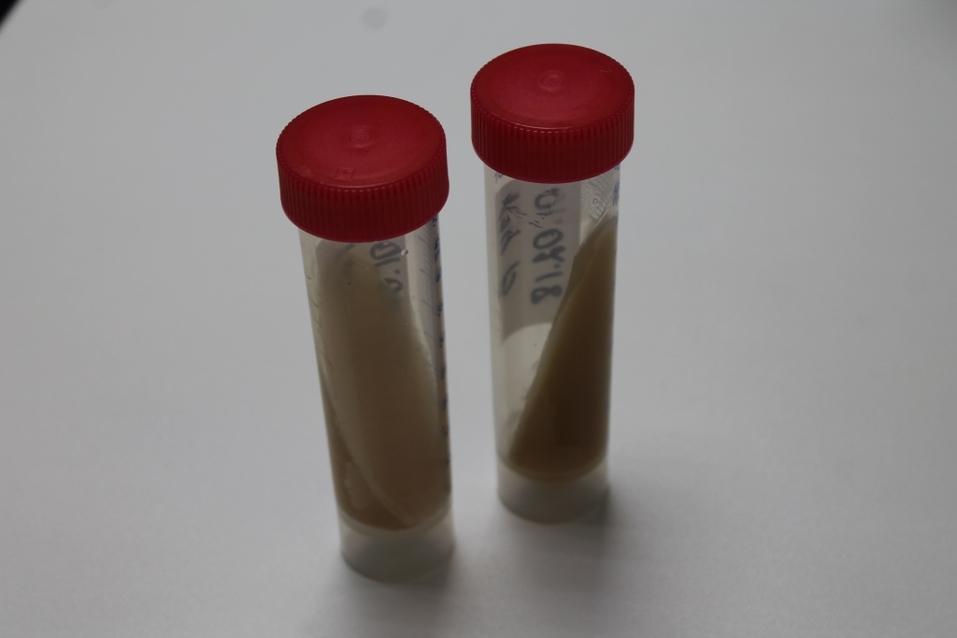 День на производстве: «ДК» узнал, как варят пиво «Балтика» в Новосибирске 7 День на производстве: «ДК» узнал, как варят пиво «Балтика» в Новосибирске 7