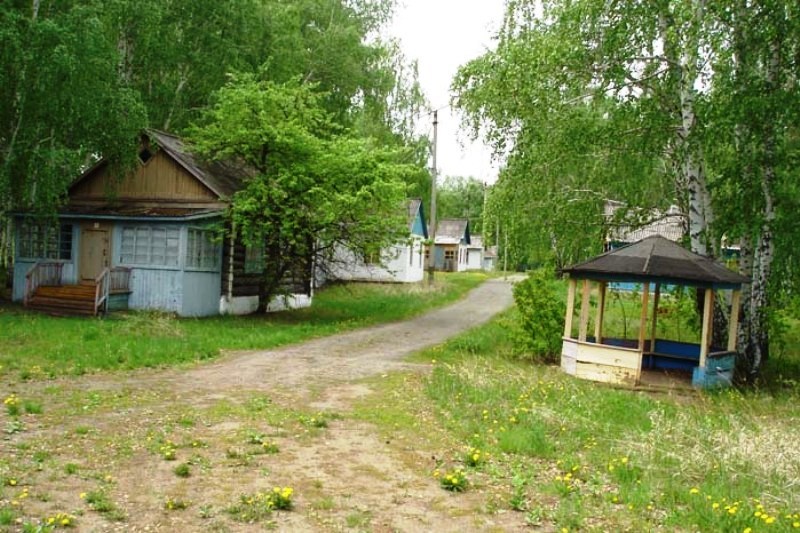 Медведи, рыбный релакс и кинотеатр на пляже. Обзор нестандартных баз отдыха Южного Урала 5 Медведи, рыбный релакс и кинотеатр на пляже. Обзор нестандартных баз отдыха Южного Урала 5