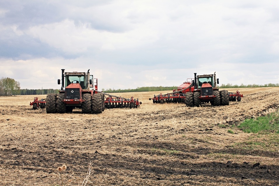 «Треть посевов — не сортовые семена, а мусор» — Дмитрий Пырсиков, «Чебаркульская птица» 2 «Треть посевов — не сортовые семена, а мусор» — Дмитрий Пырсиков, «Чебаркульская птица» 2