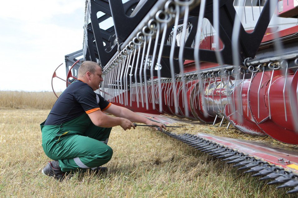 «Треть посевов — не сортовые семена, а мусор» — Дмитрий Пырсиков, «Чебаркульская птица» 3 «Треть посевов — не сортовые семена, а мусор» — Дмитрий Пырсиков, «Чебаркульская птица» 3