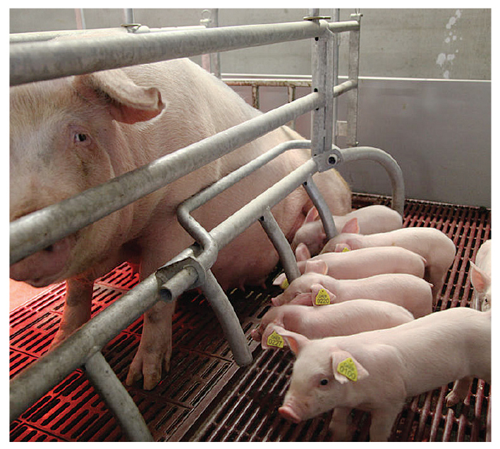 Время первых: Роман Гольдман о том, как делать то, на что никто не решается 3 Время первых: Роман Гольдман о том, как делать то, на что никто не решается 3