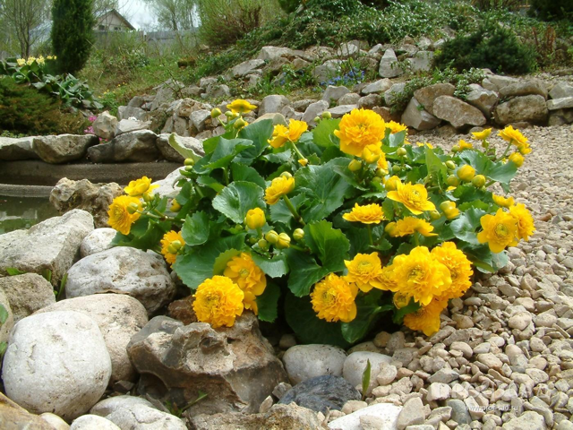 Нептун, русалки и водяные. «Архиленд» приглашает на свое 22-летие 3 Нептун, русалки и водяные. «Архиленд» приглашает на свое 22-летие 3