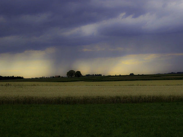 Частный газон. Сравнение Челябинска и Перми. Необычный бизнес РПЦ. ДАЙДЖЕСТ 5 Частный газон. Сравнение Челябинска и Перми. Необычный бизнес РПЦ. ДАЙДЖЕСТ 5
