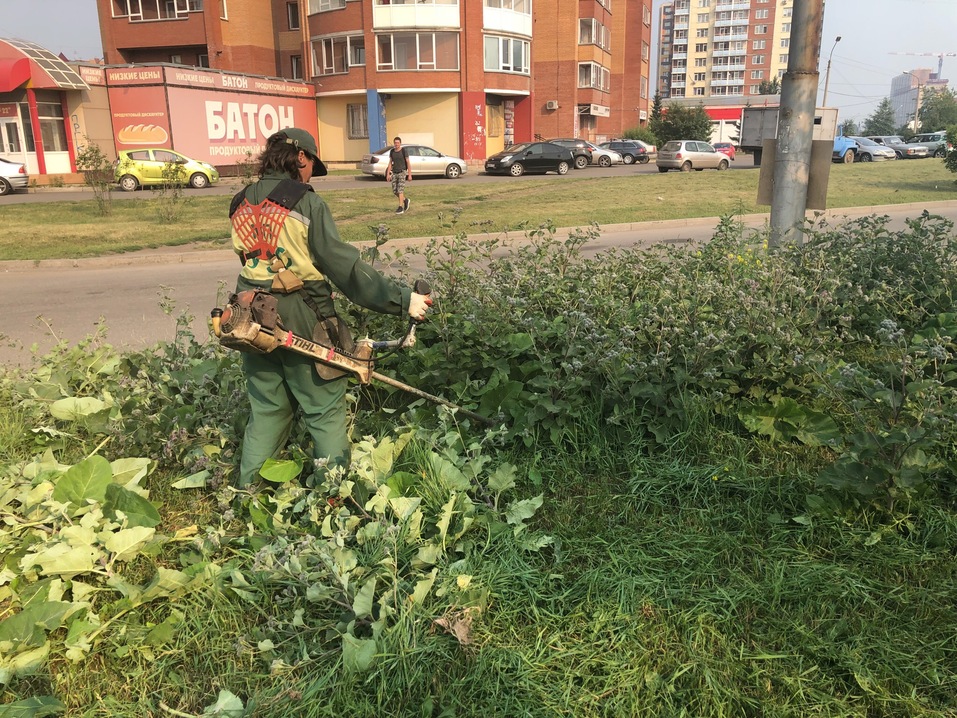 Минитракторы против мотокос: в Красноярске закупили новую технику для ухода за газонами 1 Минитракторы против мотокос: в Красноярске закупили новую технику для ухода за газонами 1