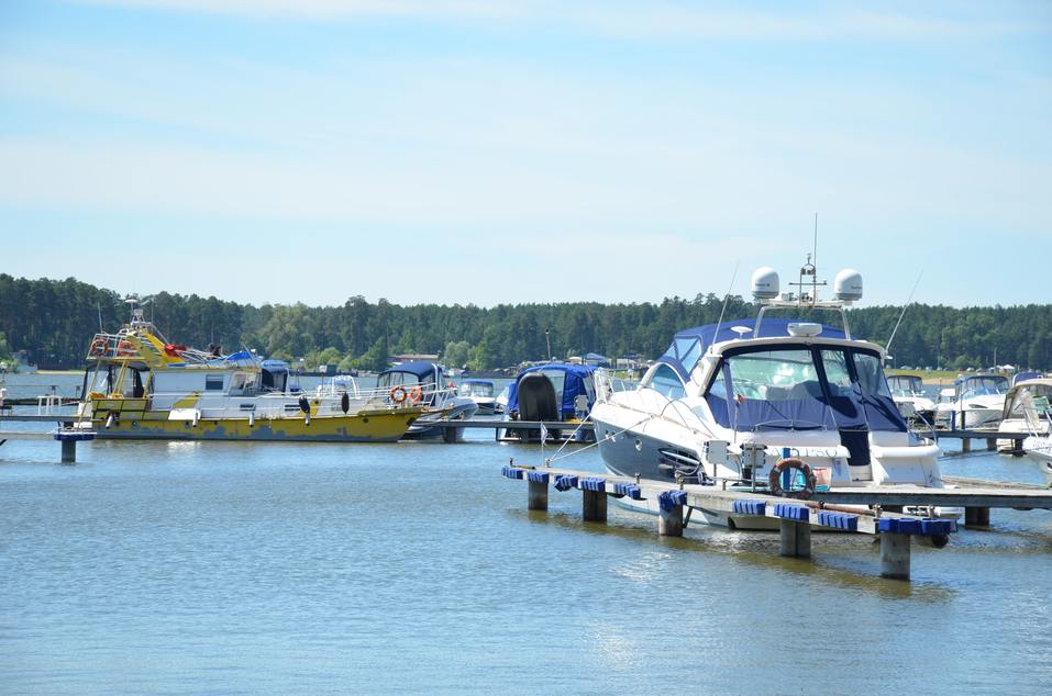Family Day от «Делового квартала». ФОТООТЧЕТ. ВИДЕО 35 Family Day от «Делового квартала». ФОТООТЧЕТ. ВИДЕО 35