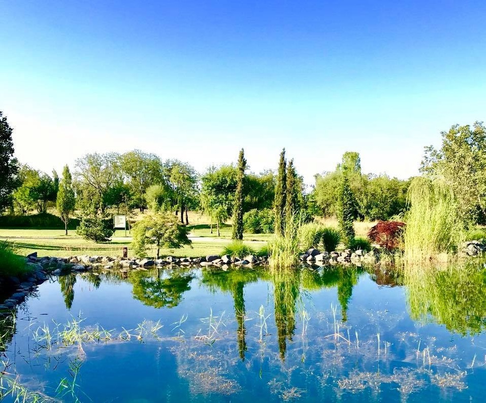 5 Фишек от модных детокс курортов для молодости, стройности и красоты 1 5 Фишек от модных детокс курортов для молодости, стройности и красоты 1