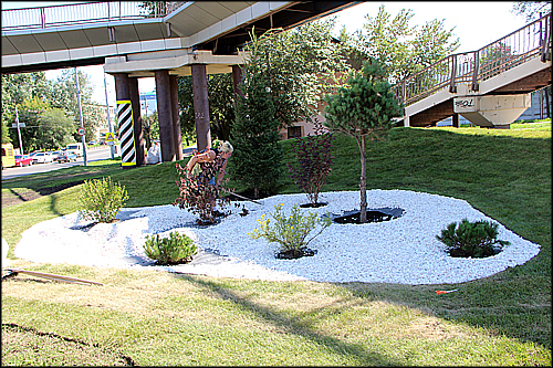 Красноярским газонам сделают геопластику 1 Красноярским газонам сделают геопластику 1