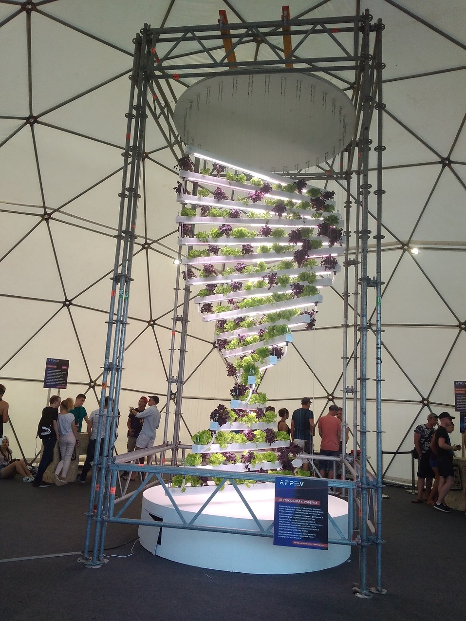 Юбилейный фестиваль Alfa Future People открылся в Большом Козино Нижегородской области 2 Юбилейный фестиваль Alfa Future People открылся в Большом Козино Нижегородской области 2