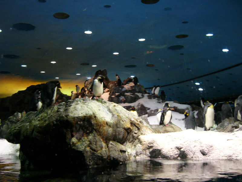 Посмотреть родину Деда Мороза и школу Гарри Поттера. Где стоит побывать каждому ребенку 6 Посмотреть родину Деда Мороза и школу Гарри Поттера. Где стоит побывать каждому ребенку 6