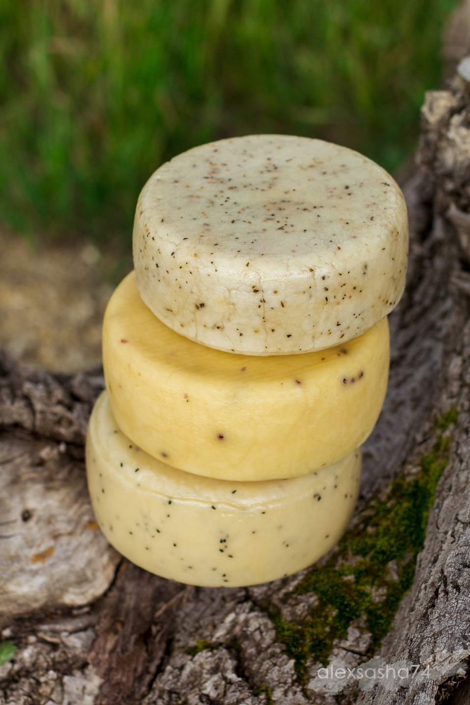 «Не только заводские трубы, грязный воздух, но и вкусный сыр», — Арина Гневушева 3 «Не только заводские трубы, грязный воздух, но и вкусный сыр», — Арина Гневушева 3