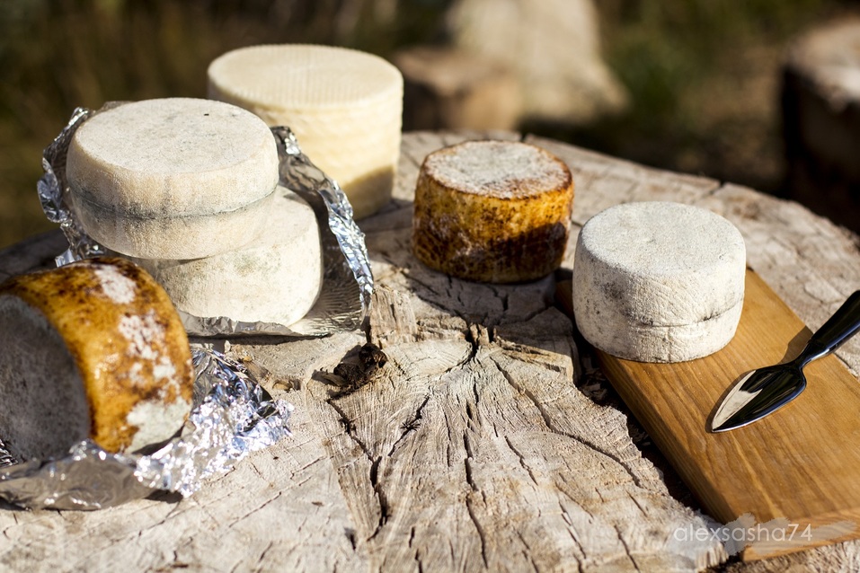 «Не только заводские трубы, грязный воздух, но и вкусный сыр», — Арина Гневушева 6 «Не только заводские трубы, грязный воздух, но и вкусный сыр», — Арина Гневушева 6