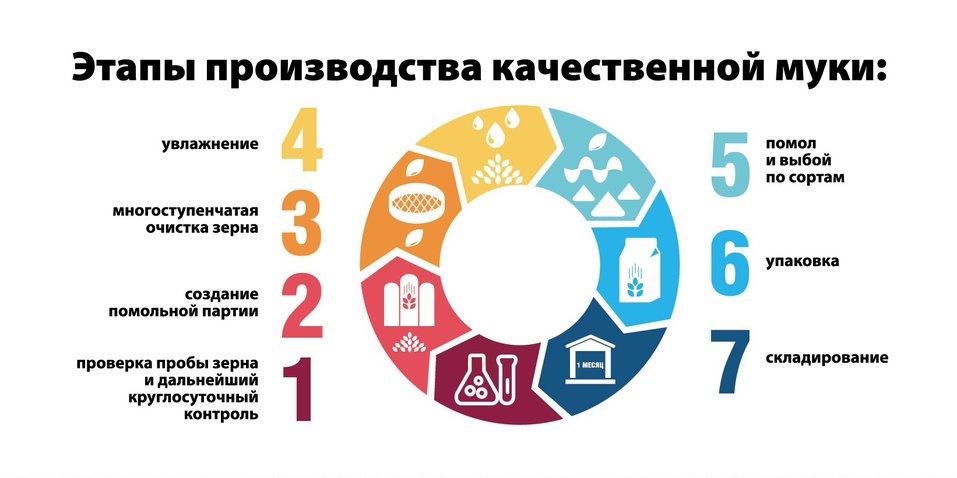 Мука – что скрывается внутри? 1 Мука – что скрывается внутри? 1