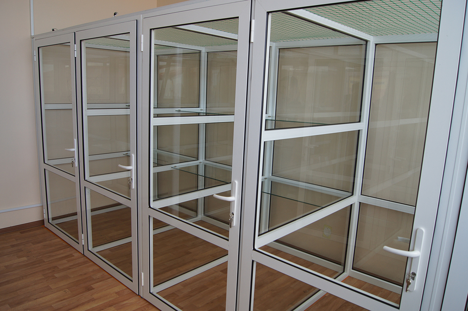 Как открыть отель для кошек: деньги, рынок, подводные камни — Алексей Мирошин, CatsHotel96 1 Как открыть отель для кошек: деньги, рынок, подводные камни — Алексей Мирошин, CatsHotel96 1