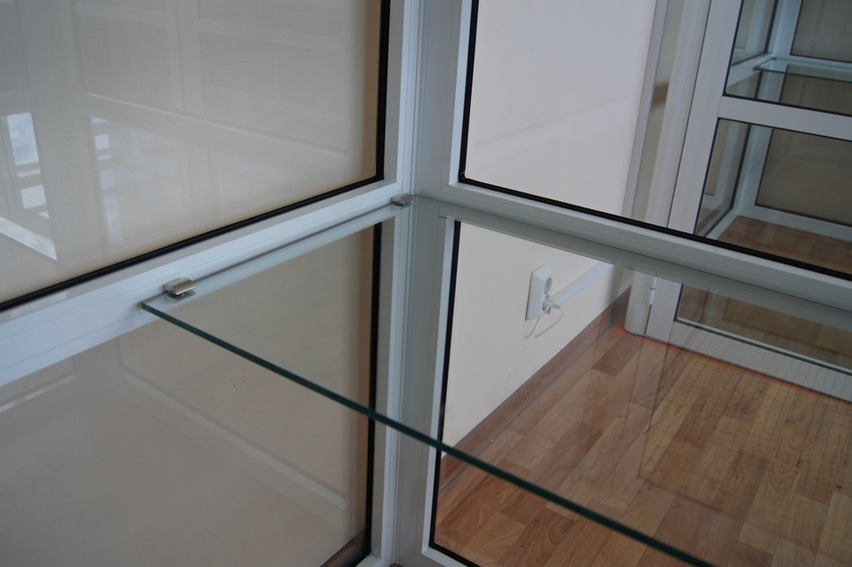 Как открыть отель для кошек: деньги, рынок, подводные камни — Алексей Мирошин, CatsHotel96 2 Как открыть отель для кошек: деньги, рынок, подводные камни — Алексей Мирошин, CatsHotel96 2