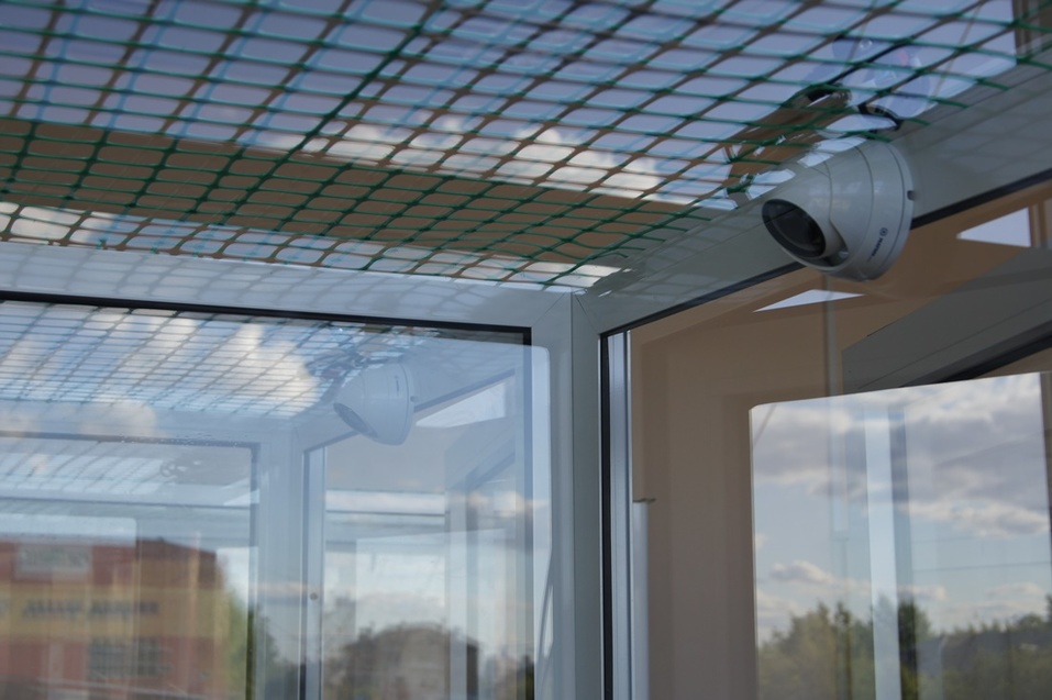 Как открыть отель для кошек: деньги, рынок, подводные камни — Алексей Мирошин, CatsHotel96 3 Как открыть отель для кошек: деньги, рынок, подводные камни — Алексей Мирошин, CatsHotel96 3