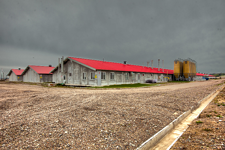 Биогазовая установка «Агроэлита» — генератор прибыли
2 Биогазовая установка «Агроэлита» — генератор прибыли
2