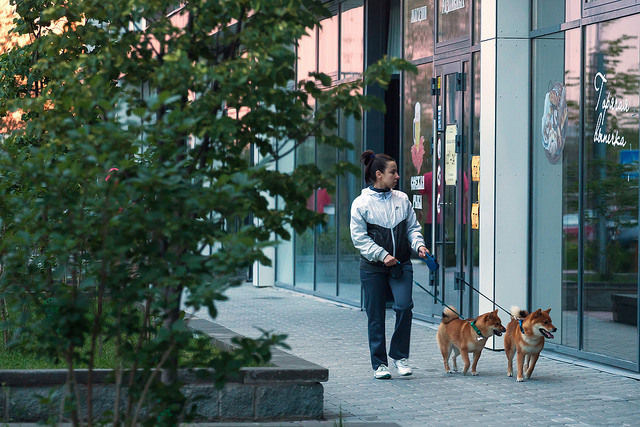 Дворы для детей и зеленые улицы. Когда в Екатеринбурге начнут строить дома, как в Европе? 5 Дворы для детей и зеленые улицы. Когда в Екатеринбурге начнут строить дома, как в Европе? 5