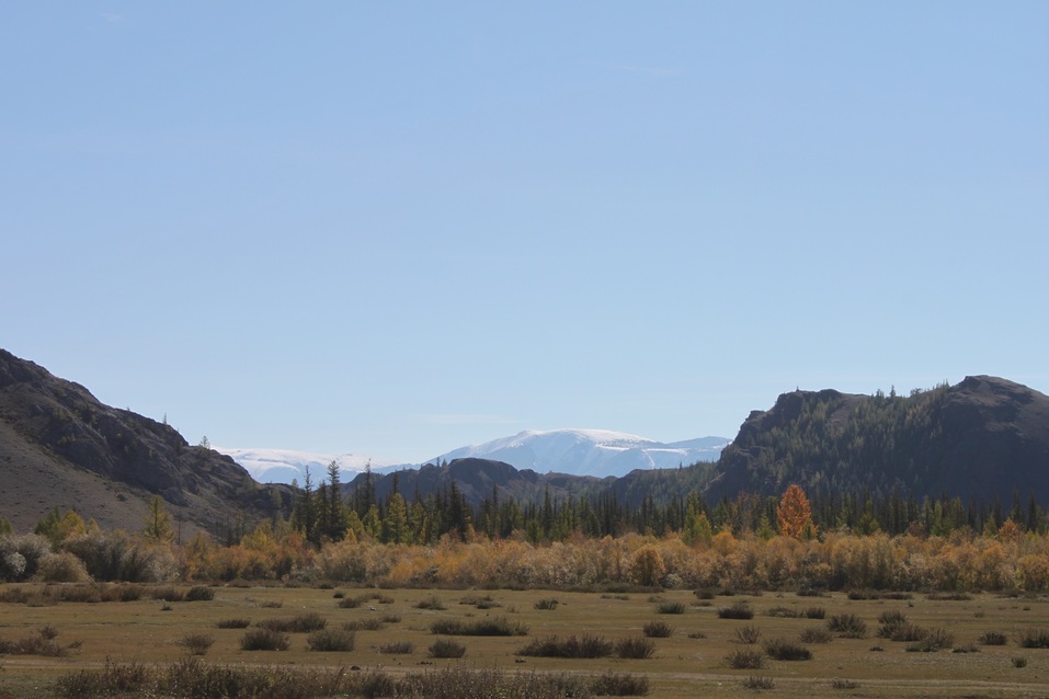 10 мифов о Горном Алтае: правда или ложь? 12 10 мифов о Горном Алтае: правда или ложь? 12