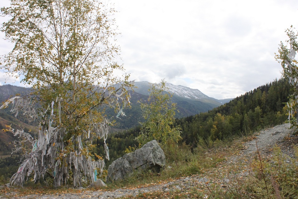 10 мифов о Горном Алтае: правда или ложь? 16 10 мифов о Горном Алтае: правда или ложь? 16