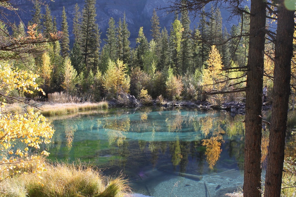 10 мифов о Горном Алтае: правда или ложь? 20 10 мифов о Горном Алтае: правда или ложь? 20