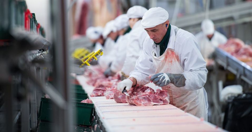 Дайджест DK.RU: налоги на полмиллиарда, банкротство мясокомбината и падение истребителя 6 Дайджест DK.RU: налоги на полмиллиарда, банкротство мясокомбината и падение истребителя 6