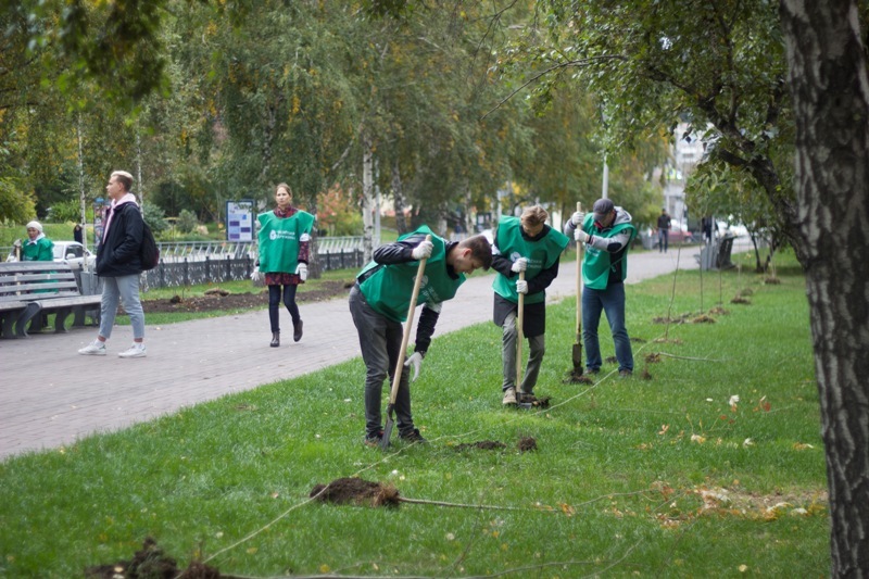125 рябин в подарок Новосибирску! 1 125 рябин в подарок Новосибирску! 1