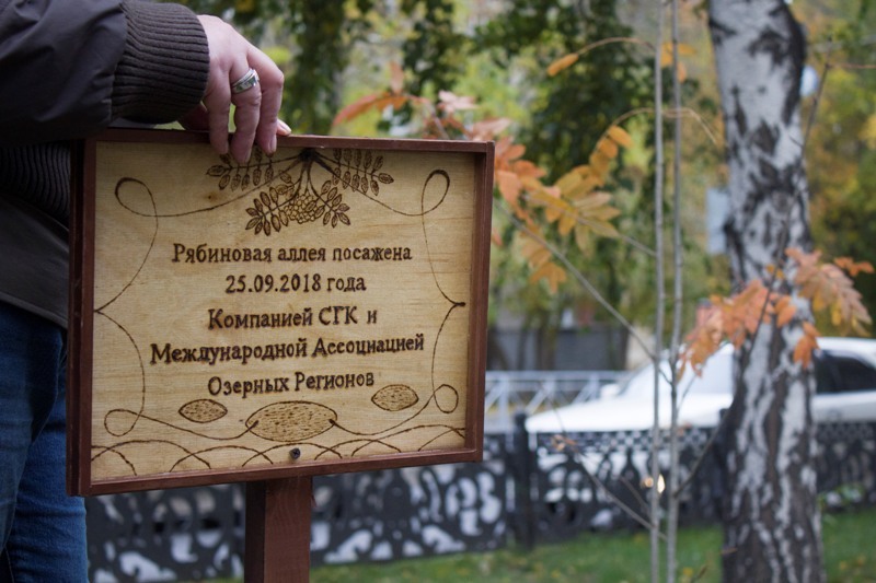 125 рябин в подарок Новосибирску! 3 125 рябин в подарок Новосибирску! 3