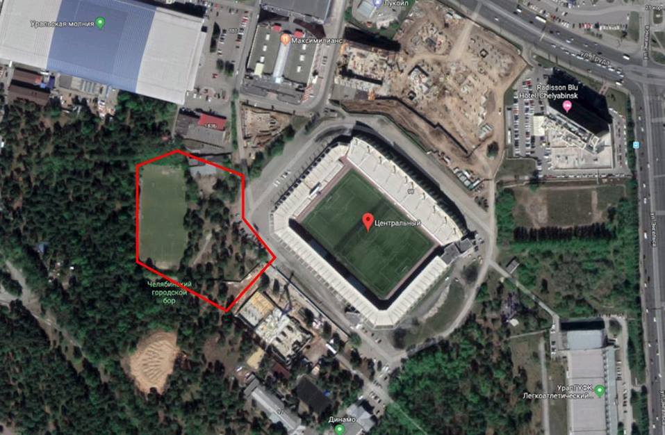 В Челябинске в городском бору вырубили сосны из-за строительства спортивного центра 1 В Челябинске в городском бору вырубили сосны из-за строительства спортивного центра 1