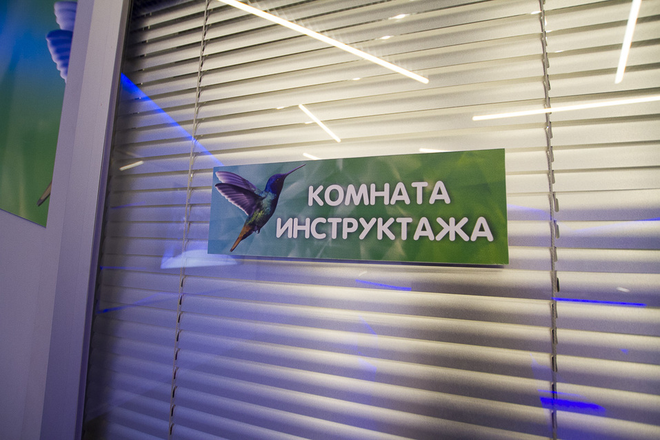 Пять минут, полет нормальный. Как освободиться от оков работы и стресса? 4 Пять минут, полет нормальный. Как освободиться от оков работы и стресса? 4