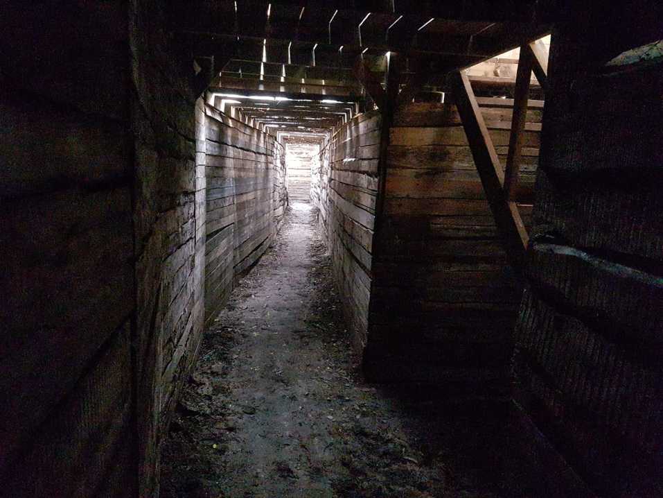 В Новосибирске открыт огромный квест-парк для любителей пейнтбола
2 В Новосибирске открыт огромный квест-парк для любителей пейнтбола
2