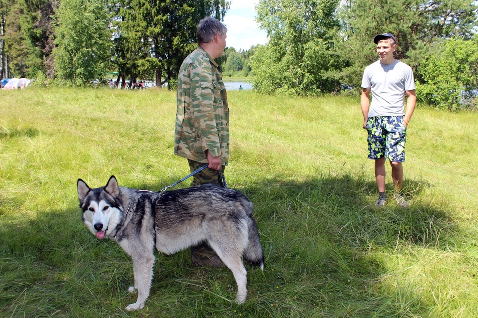 Романтика, помощь людям или бизнес? Почему добровольцы приходят в отряд «Волонтер»
6 Романтика, помощь людям или бизнес? Почему добровольцы приходят в отряд «Волонтер»
6
