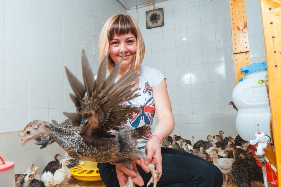 Наш ответ санкциям. Как фермеры из уральской деревни снабжают индейкой полстраны 4 Наш ответ санкциям. Как фермеры из уральской деревни снабжают индейкой полстраны 4