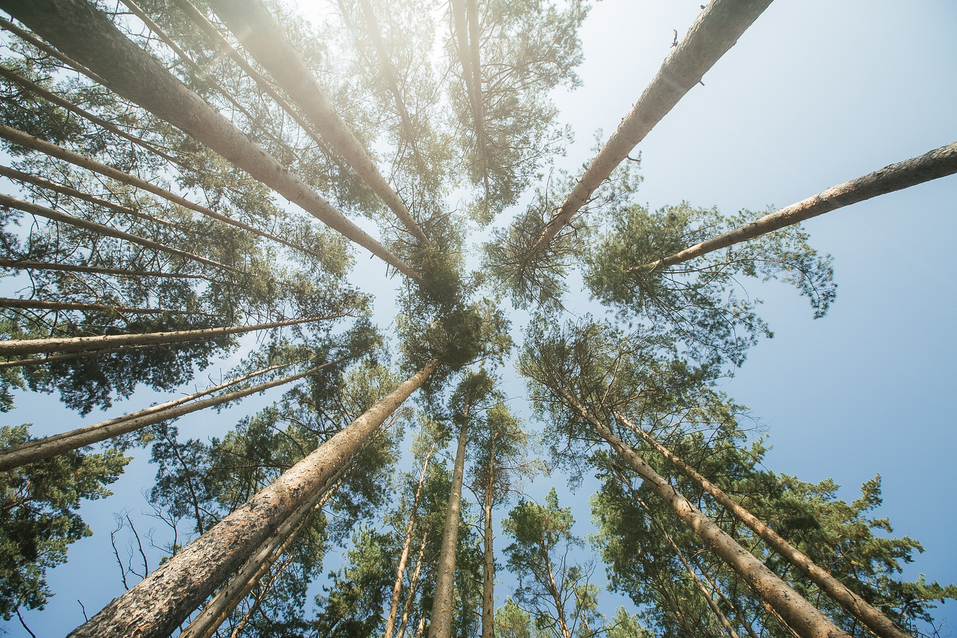 На рынке курортной недвижимости Южного Урала все чаще появляются интересные предложения 2 На рынке курортной недвижимости Южного Урала все чаще появляются интересные предложения 2