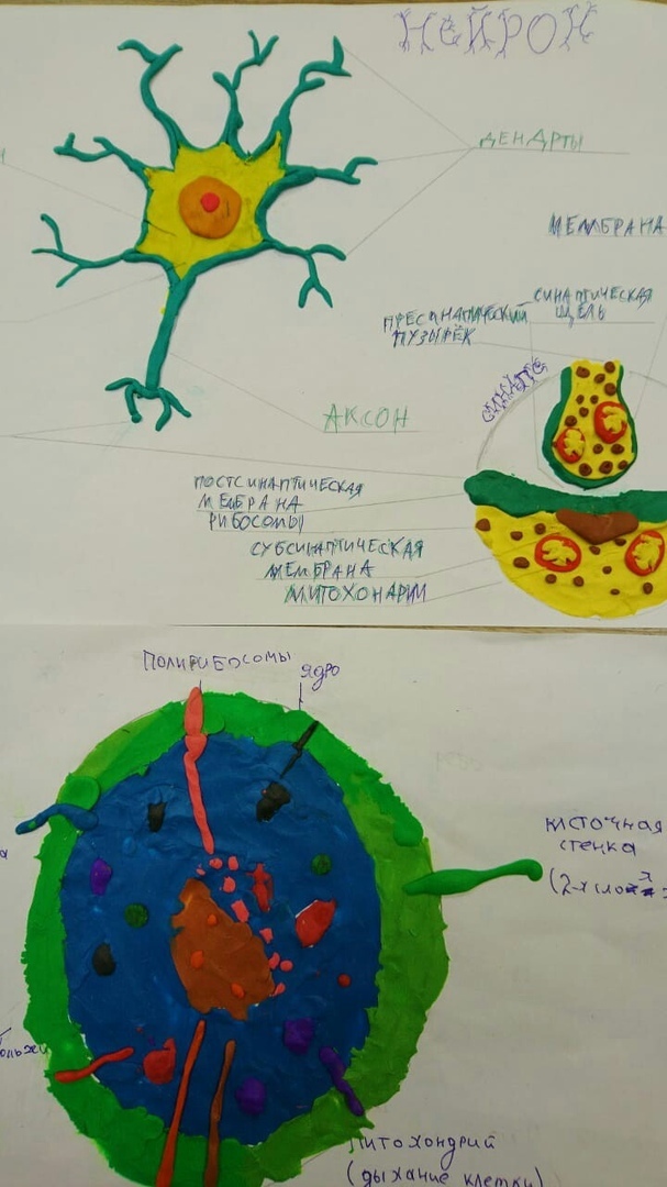 Ирина Козинченко: «Набором знаний уже никого не удивишь» 3 Ирина Козинченко: «Набором знаний уже никого не удивишь» 3