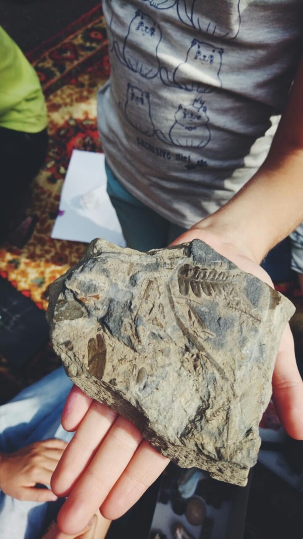 Ирина Козинченко: «Набором знаний уже никого не удивишь» 4 Ирина Козинченко: «Набором знаний уже никого не удивишь» 4