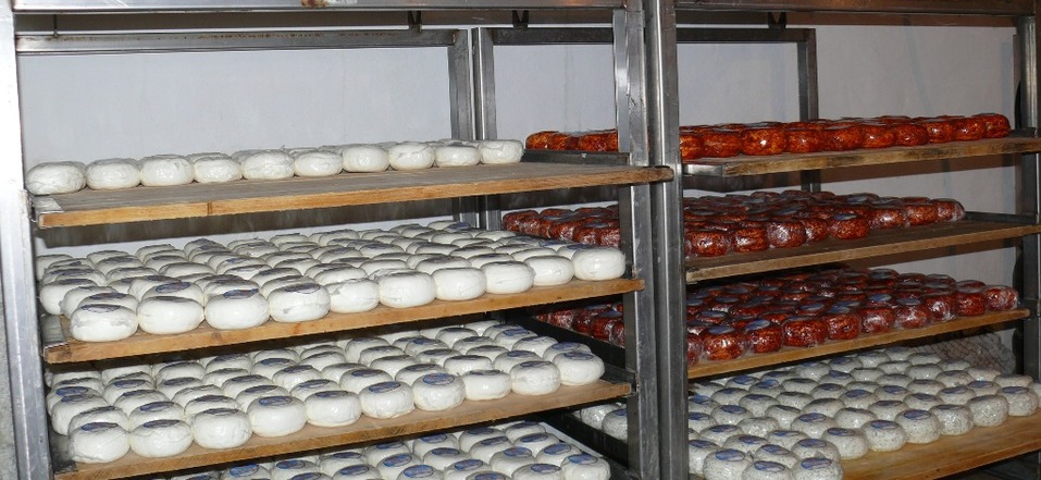 В Челябинской области бывшее предприятие Аристова и Антипова продают за 45 млн руб. 1 В Челябинской области бывшее предприятие Аристова и Антипова продают за 45 млн руб. 1