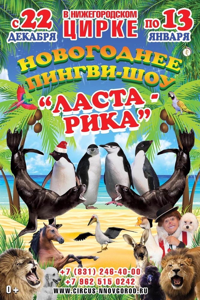 Новогоднее Пингви-шоу «Ласта-Рика» пройдет в Нижегородском цирке 3 Новогоднее Пингви-шоу «Ласта-Рика» пройдет в Нижегородском цирке 3