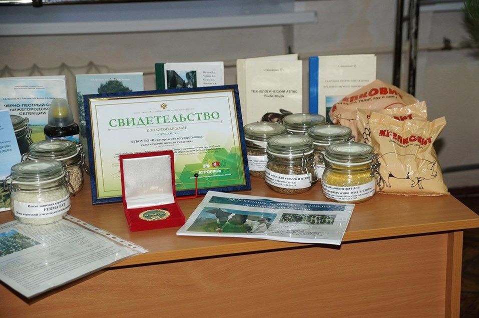 НГСХА станет инвестиционно привлекательной структурой 5 НГСХА станет инвестиционно привлекательной структурой 5