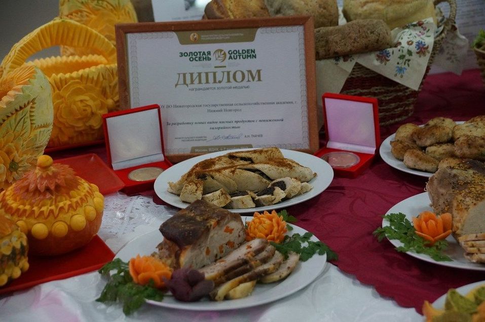 НГСХА станет инвестиционно привлекательной структурой 6 НГСХА станет инвестиционно привлекательной структурой 6