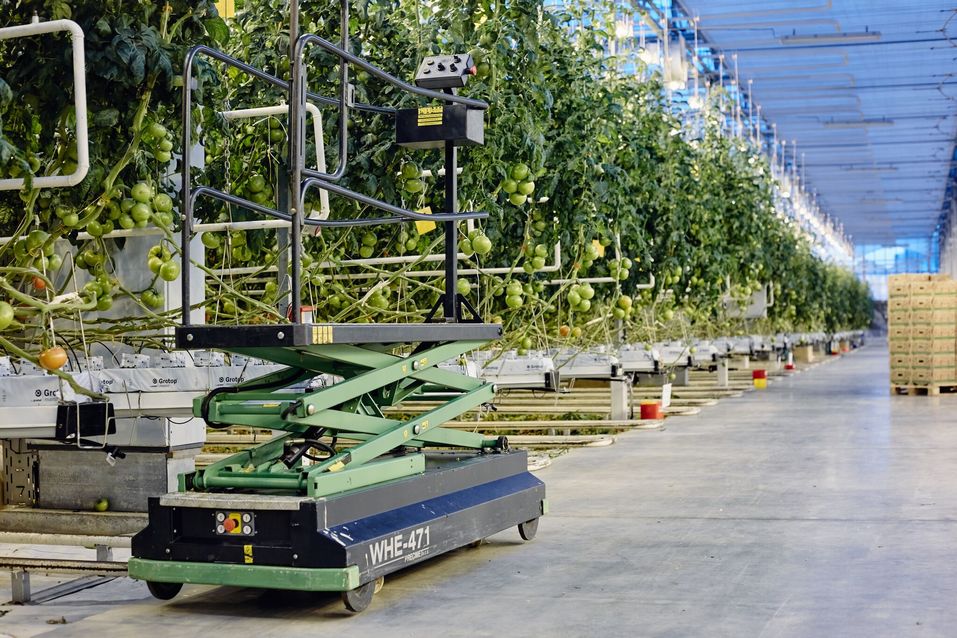 «Люди не представляют, как выращиваются овощи в теплицах», — Оксана Лицингер, «Чурилово» 2 «Люди не представляют, как выращиваются овощи в теплицах», — Оксана Лицингер, «Чурилово» 2