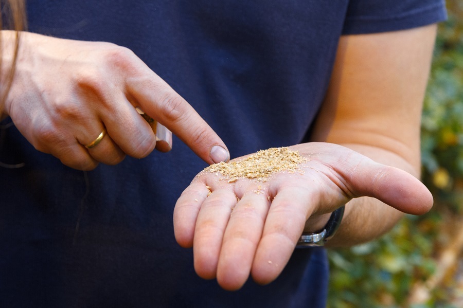 Сколько стоит миллион роз? Изнанка крупнейшего на Урале производства цветов 7 Сколько стоит миллион роз? Изнанка крупнейшего на Урале производства цветов 7