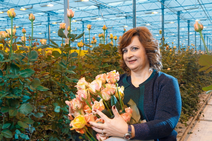 Сколько стоит миллион роз? Изнанка крупнейшего на Урале производства цветов 13 Сколько стоит миллион роз? Изнанка крупнейшего на Урале производства цветов 13