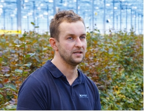 Сколько стоит миллион роз? Изнанка крупнейшего на Урале производства цветов 2 Сколько стоит миллион роз? Изнанка крупнейшего на Урале производства цветов 2