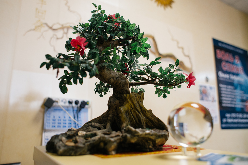 Ваша апатия лечится, агрессия уходит, а вес снижается. Только не игнорируйте проблему 5 Ваша апатия лечится, агрессия уходит, а вес снижается. Только не игнорируйте проблему 5