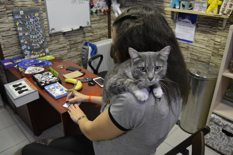 «Закроемся, животных раздадим». Контактные зоопарки Челябинска попали под запрет 3 «Закроемся, животных раздадим». Контактные зоопарки Челябинска попали под запрет 3