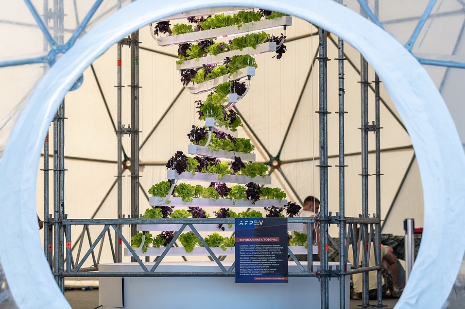 Стали известны даты проведения фестиваля Alfa Future People 2019 3 Стали известны даты проведения фестиваля Alfa Future People 2019 3