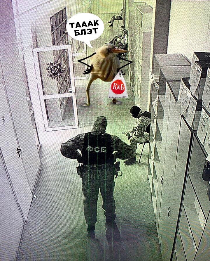 «Не выкарабкаемся, так вас порадуем»: челябинская сеть «К&Б» объявила скидки после обысков 3 «Не выкарабкаемся, так вас порадуем»: челябинская сеть «К&Б» объявила скидки после обысков 3