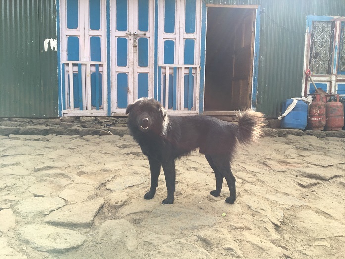 «Тело не слушается, борешься с собственным мозгом». Зачем бизнесмены испытывают себя 13 «Тело не слушается, борешься с собственным мозгом». Зачем бизнесмены испытывают себя 13