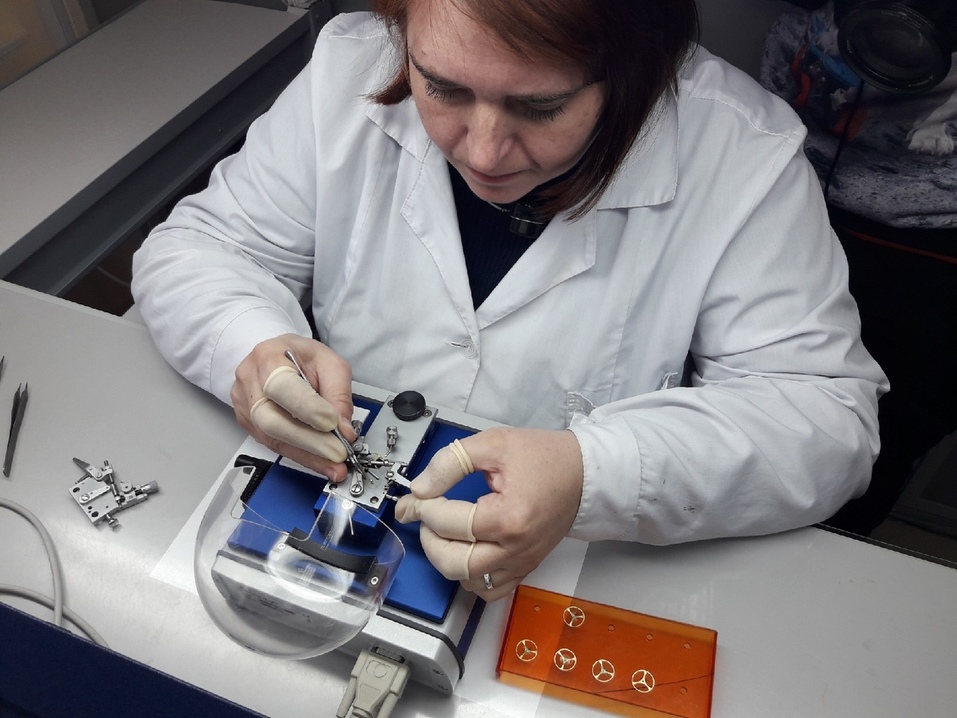 «Надо быть и механиком, и ювелиром»: как на челябинском заводе создают механизмы для часов 1 «Надо быть и механиком, и ювелиром»: как на челябинском заводе создают механизмы для часов 1